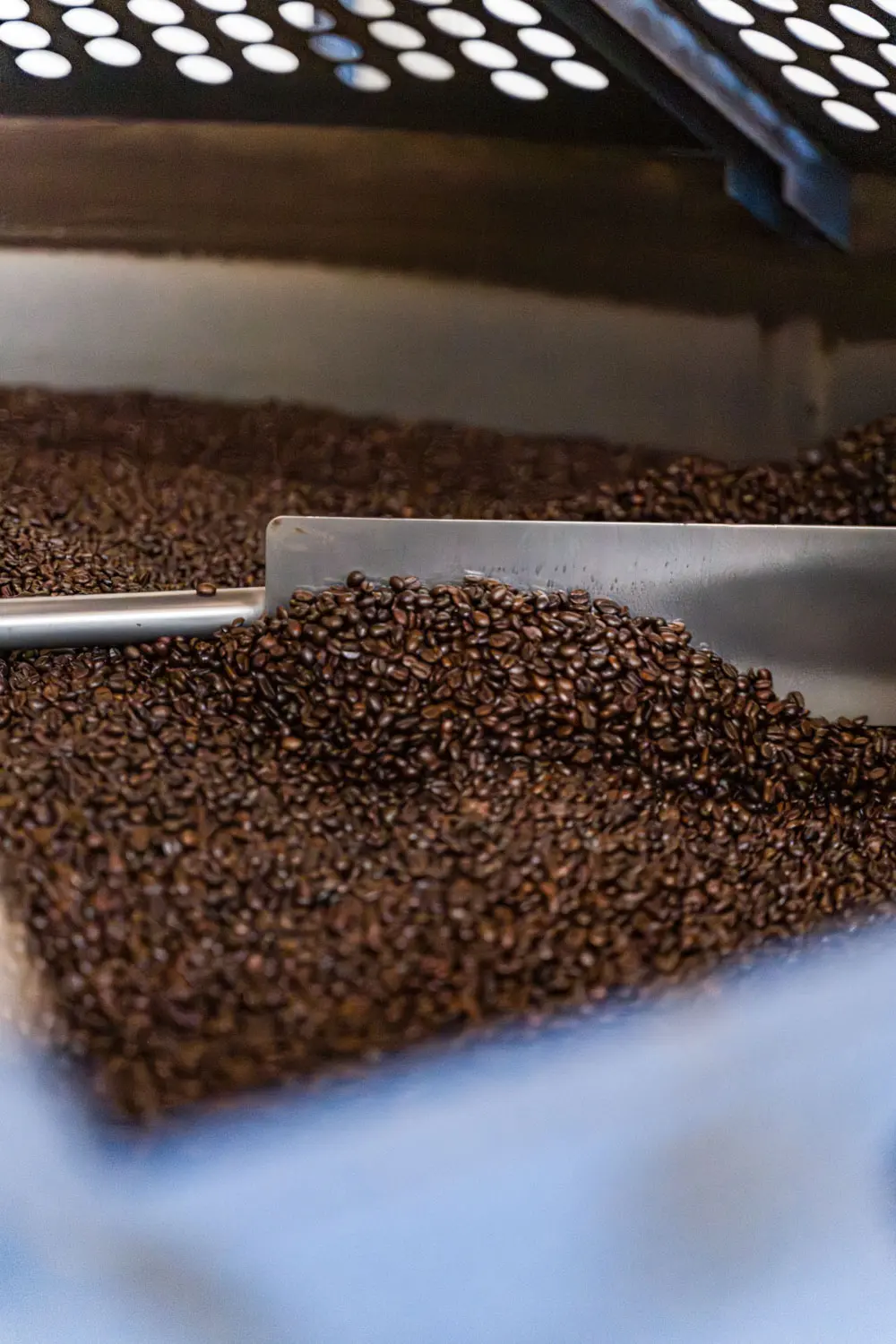 Caffè Moreno Rive Studio 6